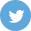 icon-Twitter